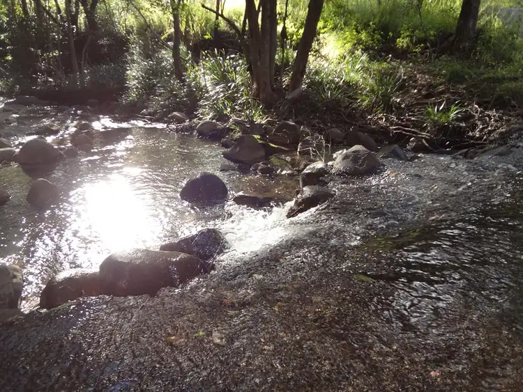 Main view of Homely rural property listing, 199 Hill Road, Mothar Mountain QLD 4570