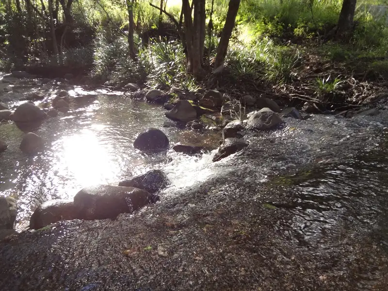 Main view of Homely rural property listing, 199 Hill Road, Mothar Mountain QLD 4570