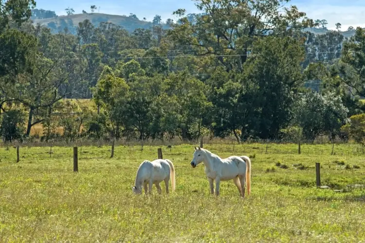 Seventh view of Homely rural property listing, Address available on request