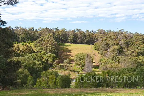 Third view of Homely rural property listing, 31 Thornton Road, Yallingup WA 6282