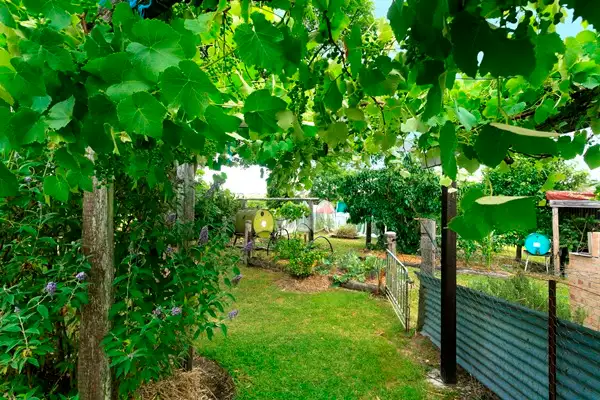 Sixth view of Homely rural property listing, 49 Maddens Lane, Wards River NSW 2422