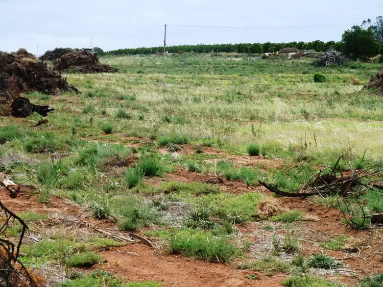 Third view of Homely land listing, 2 Bookpurnong Road, Loxton SA 5333