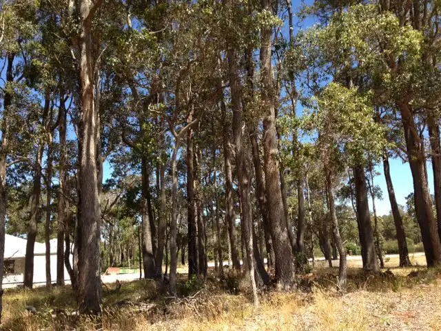 Third view of Homely land listing, 4 (Lot 511) Malbec Street, Cowaramup WA 6284