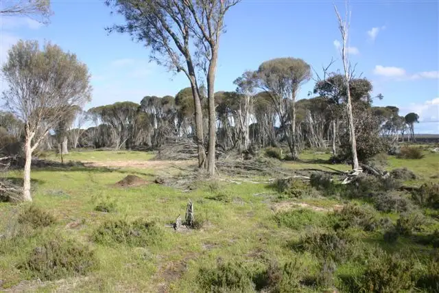 Main view of Homely land listing, Address available on request