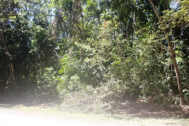 Second view of Homely land listing, 195 Bloodwood Road COW BAY, Daintree QLD 4873