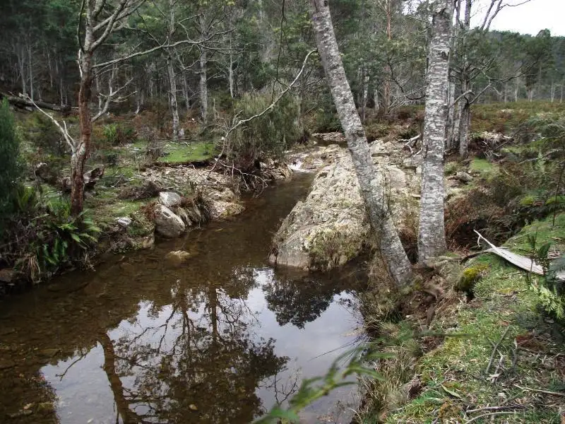 Main view of Homely rural property listing, . Henry Street, Mangana TAS 7214