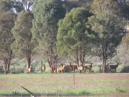 Sixth view of Homely rural property listing, 1775 Sturt Highway, Wagga Wagga NSW 2650