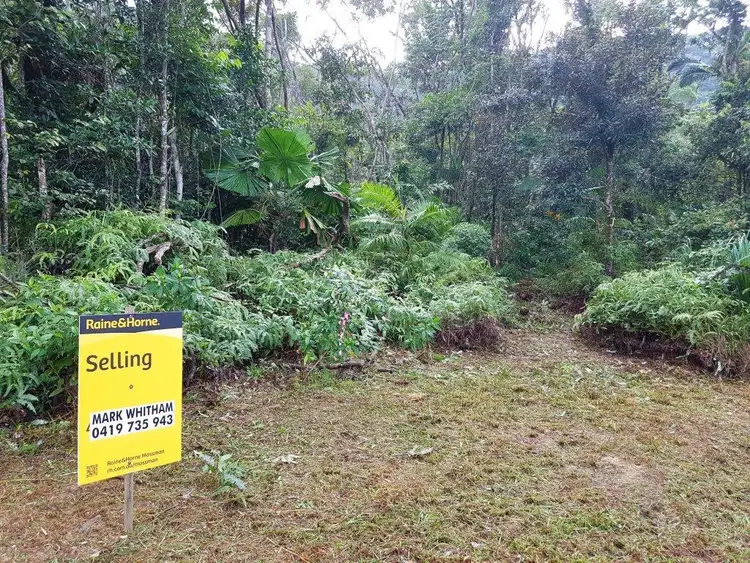 Sixth view of Homely land listing, 11 Thornton Peak Drive, Daintree QLD 4873