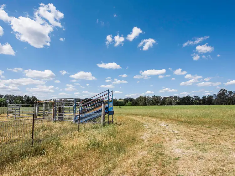 Fourth view of Homely rural property listing, 344 Wilbetree Road, Mudgee NSW 2850