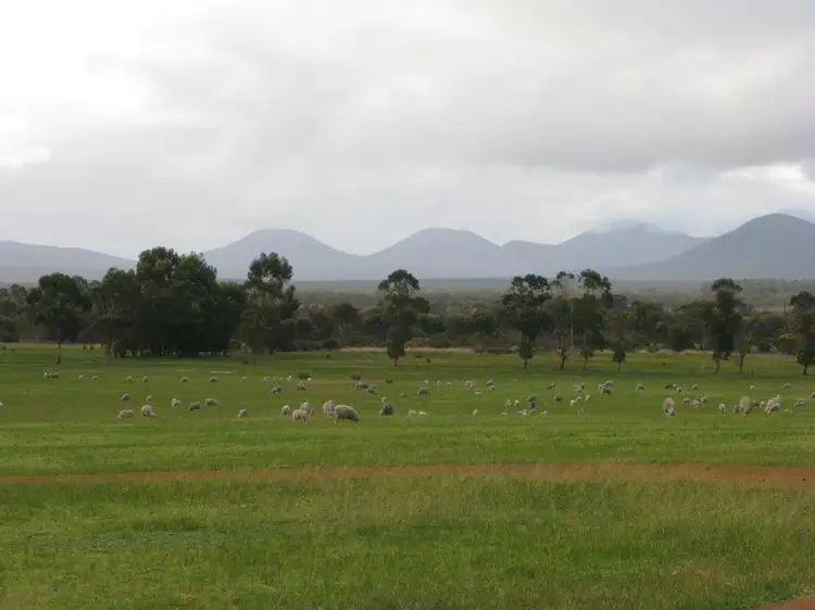 Fourth view of Homely rural property listing, 5619 Chester Pass Road, Woogenellup WA 6324