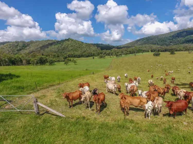 Fifth view of Homely rural property listing, 675 Cone Creek Road, Koumala QLD 4738