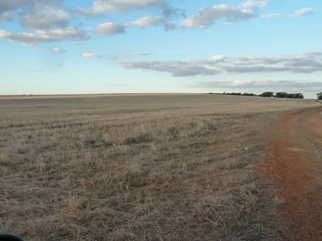 Seventh view of Homely rural property listing, 'Koolena' 1642 South Dubelling Road, Quairading WA 6383