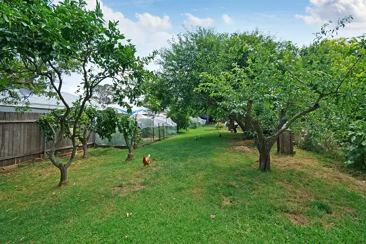 Fourth view of Homely house listing, 415 Thirlmere Way, Thirlmere NSW 2572