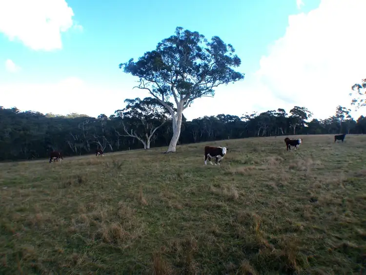 Sixth view of Homely rural property listing, 682 Nowra Road, Moss Vale NSW 2577