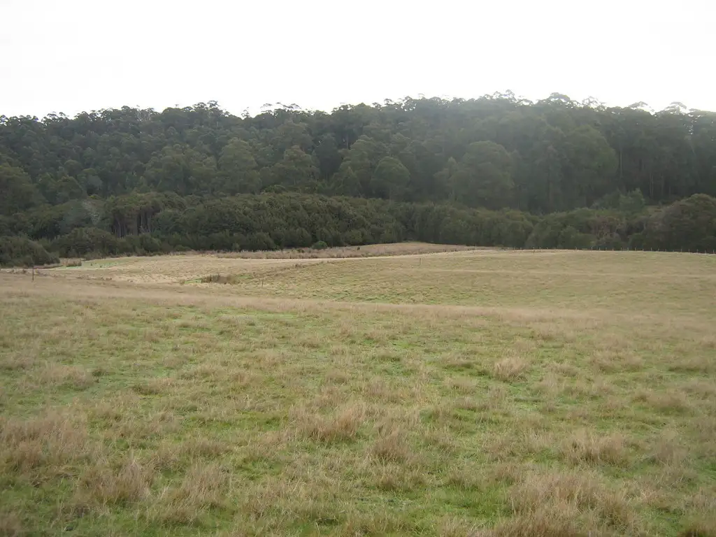 Main view of Homely rural property listing, 64 Loyetea Road, South Riana TAS 7316