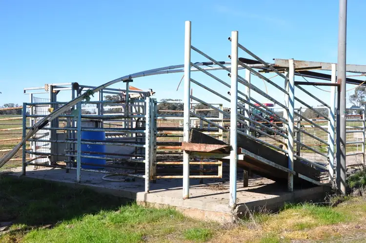 Seventh view of Homely rural property listing, 53 Brittain Rd, Numurkah VIC 3636