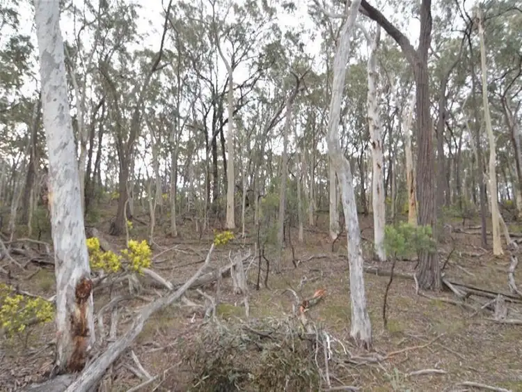 Sixth view of Homely rural property listing, 6320 Ilford Sofala Road, Sofala NSW 2795