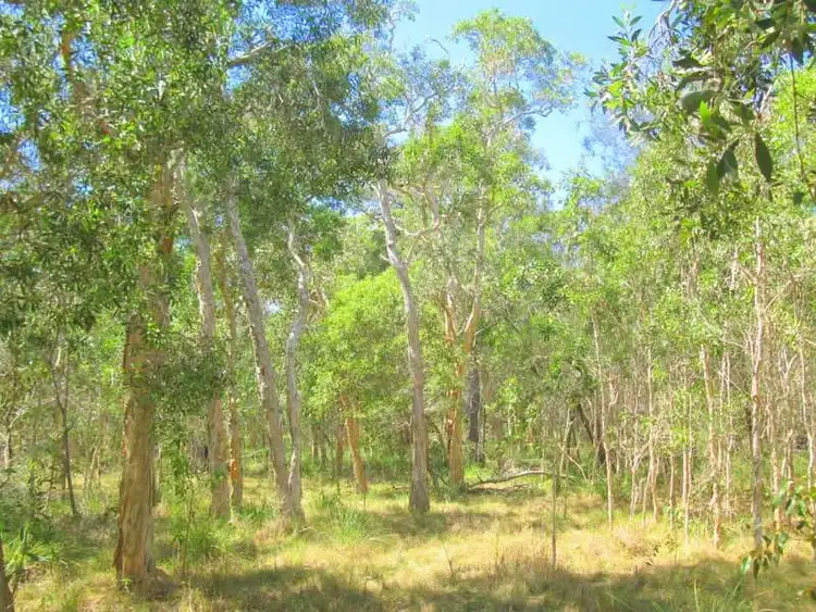 Third view of Homely land listing, 241 Allingham Way, Agnes Water QLD 4677