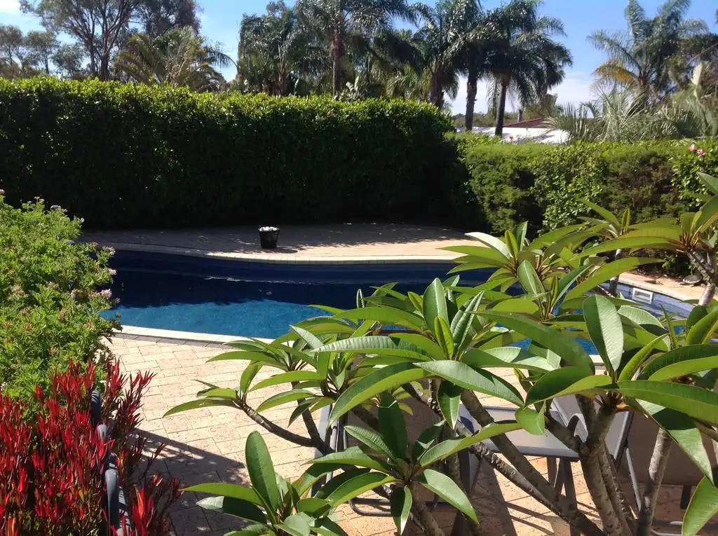 Main view of Homely house listing, 15 Oleander Place, Halls Head WA 6210