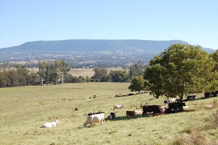 Third view of Homely rural property listing, 191 Shorts Road, Old Bonalbo NSW 2469