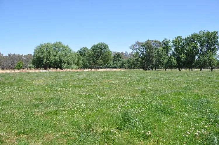 Third view of Homely rural property listing, 4950 Barmah-Shepparton Rd, Bunbartha VIC 3634