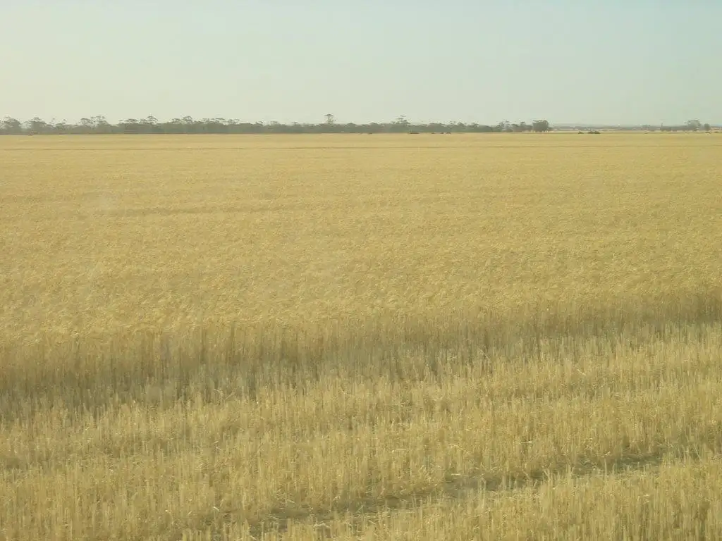 Main view of Homely rural property listing, Lots Parker Road, Southern Cross WA 6426