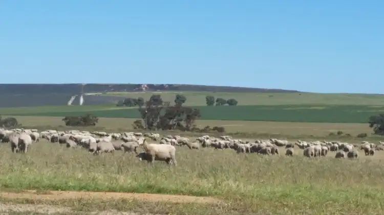 491 Marchagee Track, Boothendarra via, Badgingarra WA 6521
