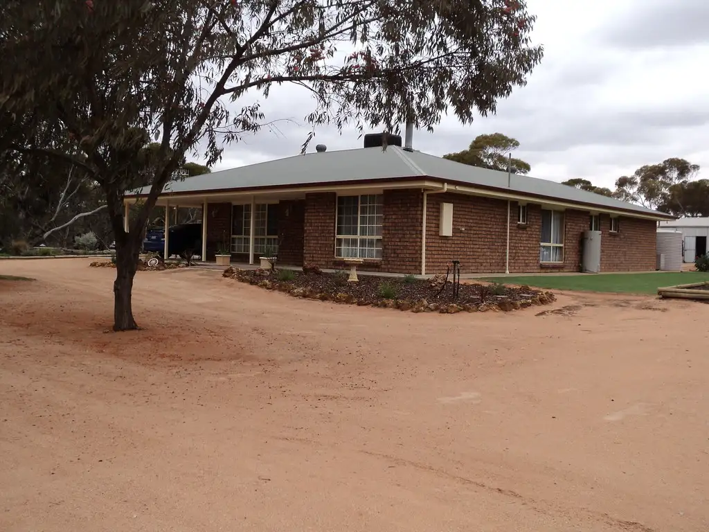 Main view of Homely house listing, 56 Slaughter rd, Barmera SA 5345