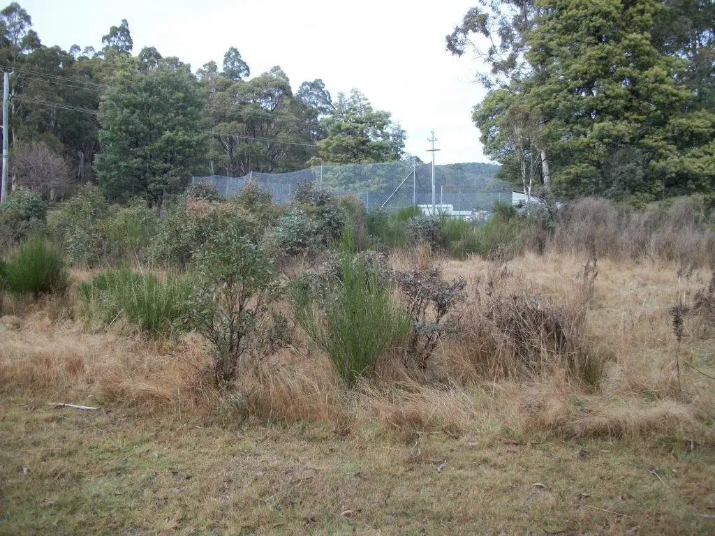 Main view of Homely land listing, 45 Lee Street, Rossarden TAS 7213