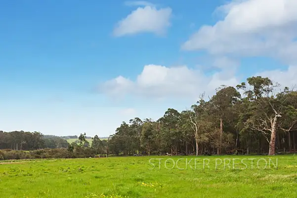 Fifth view of Homely rural property listing, L2902 Jindong Treeton Road, Rosa Brook WA 6285