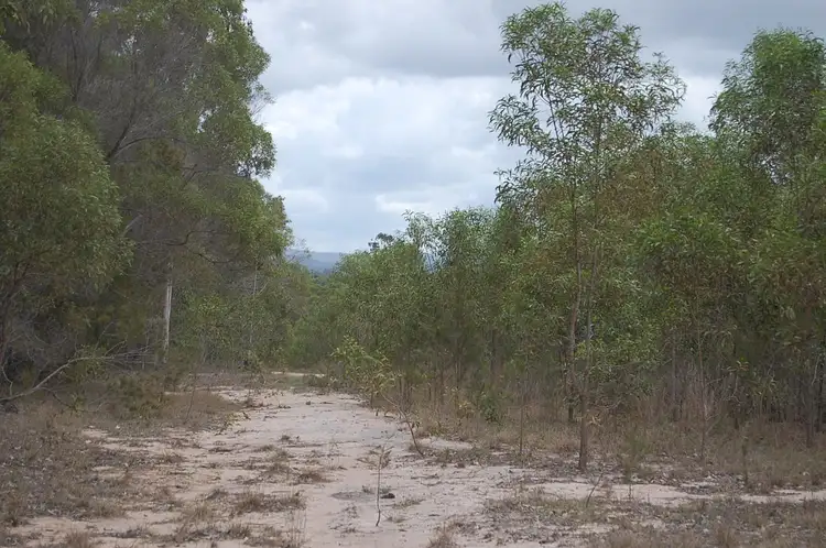 Second view of Homely rural property listing, Old Tenterfield Road, CAMIRA CREEK via, Camira NSW 2469