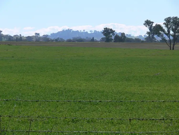 Sixth view of Homely rural property listing, 506 Binni Creek Road, Cowra NSW 2794