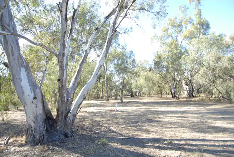 Third view of Homely house listing, 125 Billabong Creek Drive, Conargo NSW 2710