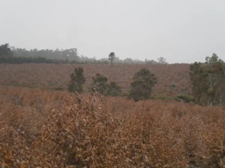 Sixth view of Homely rural property listing, 1706 Bridgetown Boyup Brook Rd, Benjinup WA 6255