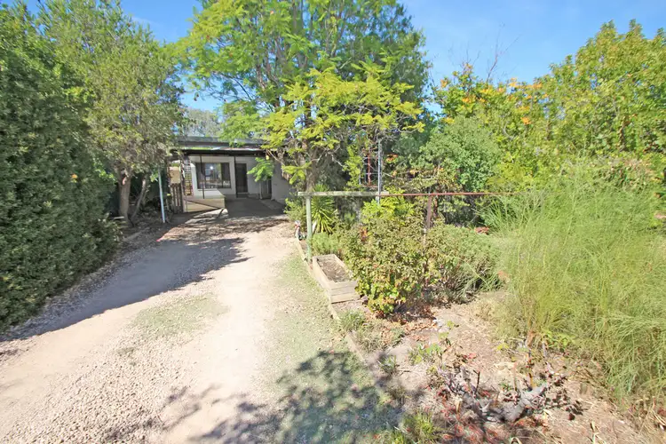 57 Para Street, Renmark SA 5341