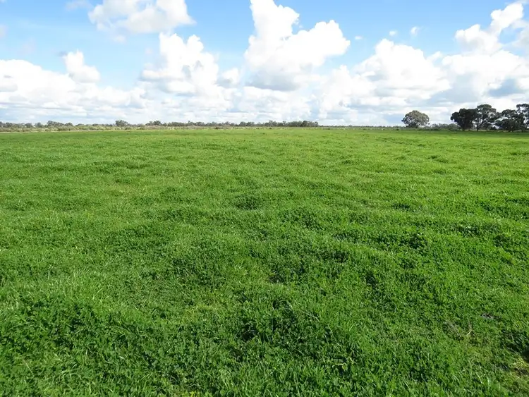 Fifth view of Homely rural property listing, 7498 Wakool Road, Barham NSW 2732