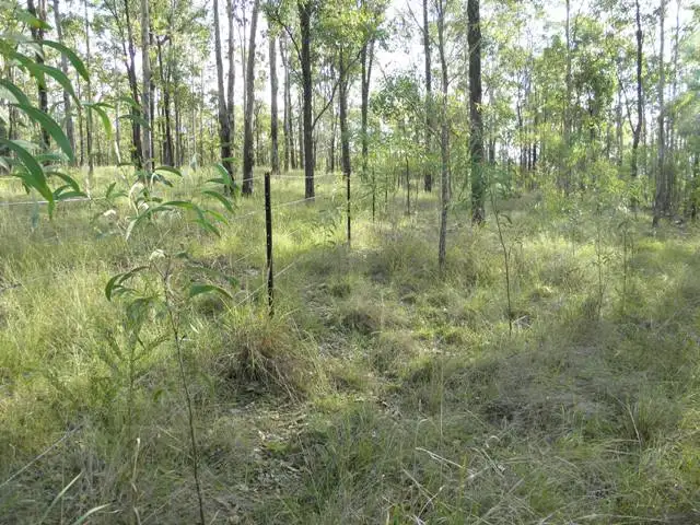 Third view of Homely rural property listing, 555 Ramornie Station Road, Ramornie NSW 2460