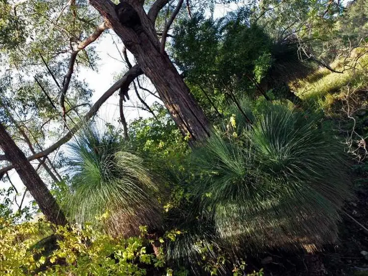 Sixth view of Homely rural property listing, Lot 16, 376 Torryburn Road, East Gresford NSW 2311