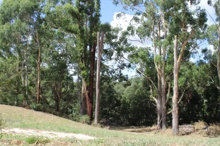 Fifth view of Homely land listing, 80 Tippetts Road, Mount Hicks TAS 7325