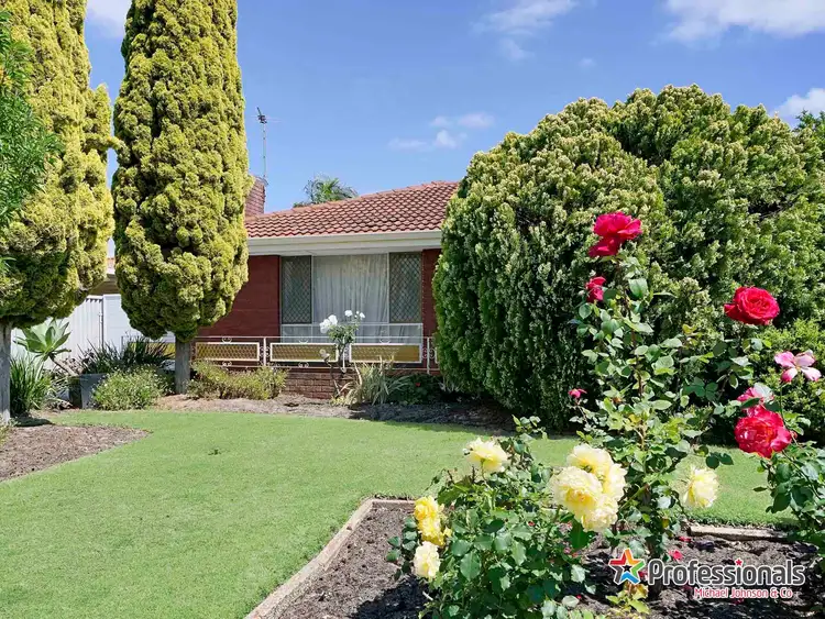 Second view of Homely house listing, 27 Collingwood Street, Dianella WA 6059