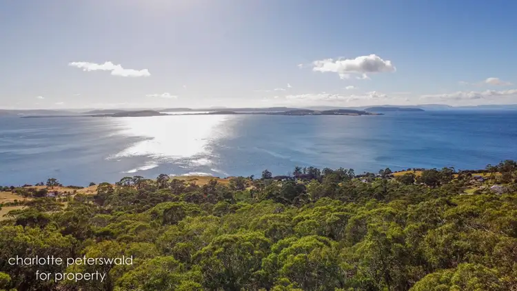 Sixth view of Homely land listing, 305 Tinderbox Road, Tinderbox TAS 7054