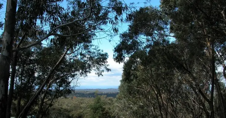 Address available on request