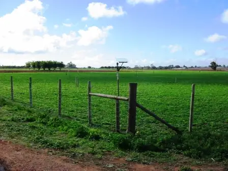 Lot 5 Government Rd, Renmark West SA 5341