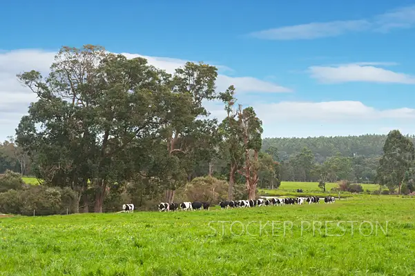 Fourth view of Homely rural property listing, L2902 Jindong Treeton Road, Rosa Brook WA 6285