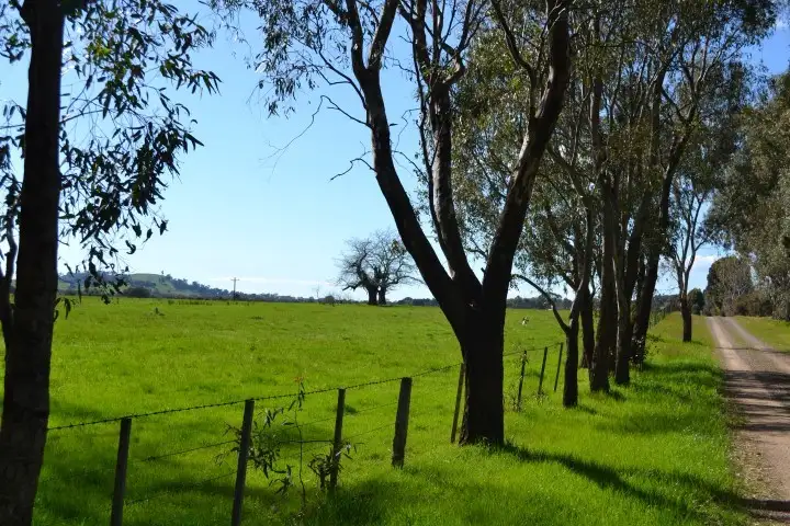 Third view of Homely rural property listing, 779 Dobsons Rd, Benalla VIC 3673