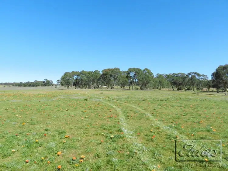 Fifth view of Homely house listing, 7059 Calder Highway, Wedderburn VIC 3518