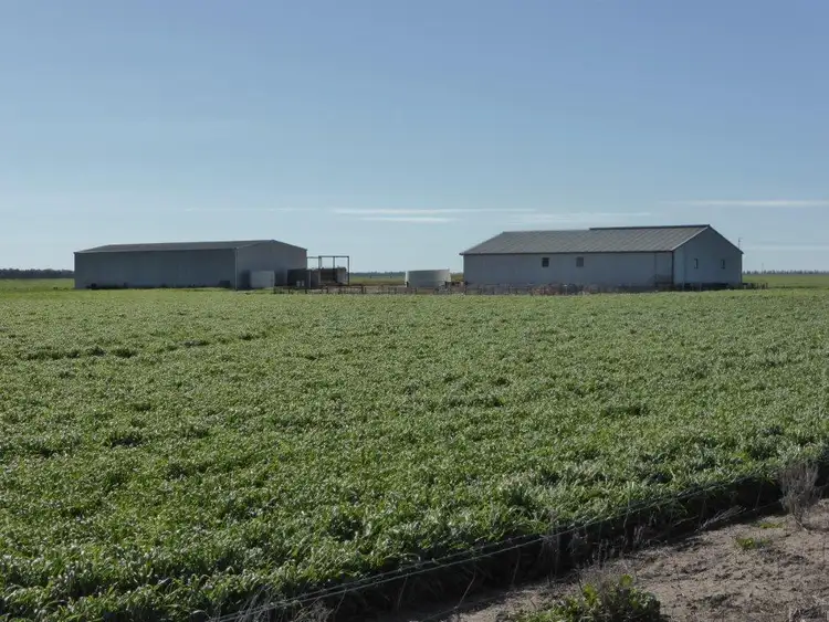Third view of Homely rural property listing, - Buncrana East, Jerilderie NSW 2716