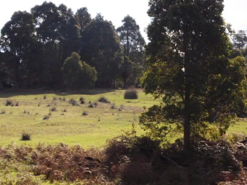 Main view of Homely rural property listing, Lot 104 Double Bridge Road, Northcliffe WA 6262