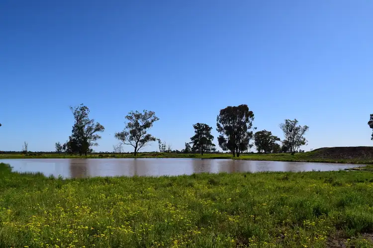 Seventh view of Homely rural property listing, " Lee Three ", Meandarra QLD 4422