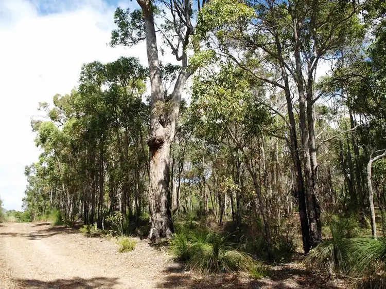 Second view of Homely land listing, Lot 28 Yungarra Drive, Quedjinup WA 6281